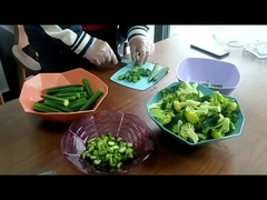 가정용 과자 과일 채소 작은 냉동 건조기 판매