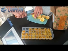 홈 진공 냉동 건조기 과일 냉동기기 장비