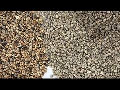 쌀 색상 선별기 커피콩 쌀 곡물 색상 밀 자동 선별기