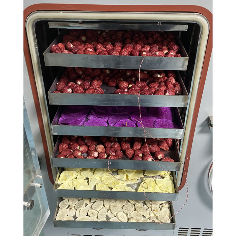 실험실 냉각 건조기 0.4m2 냉각 건조면적, 공기 냉각 시스템 및 6 kg/24h 물 수용 용량