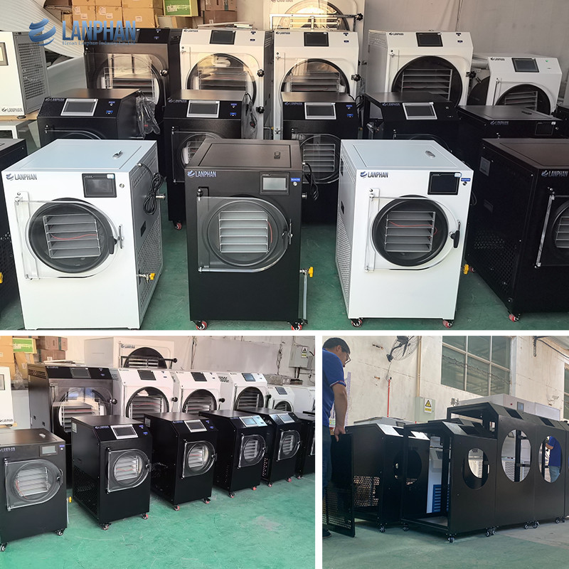 4m2 14 큰 트레이 진공식품 냉동 건조기 공장 과일과 채소 제조업체