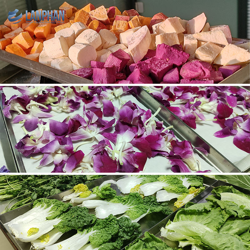 진공 냉각 건조기 냉각 건조기 육류 애완 동물 식품 냉각 과일 건조기