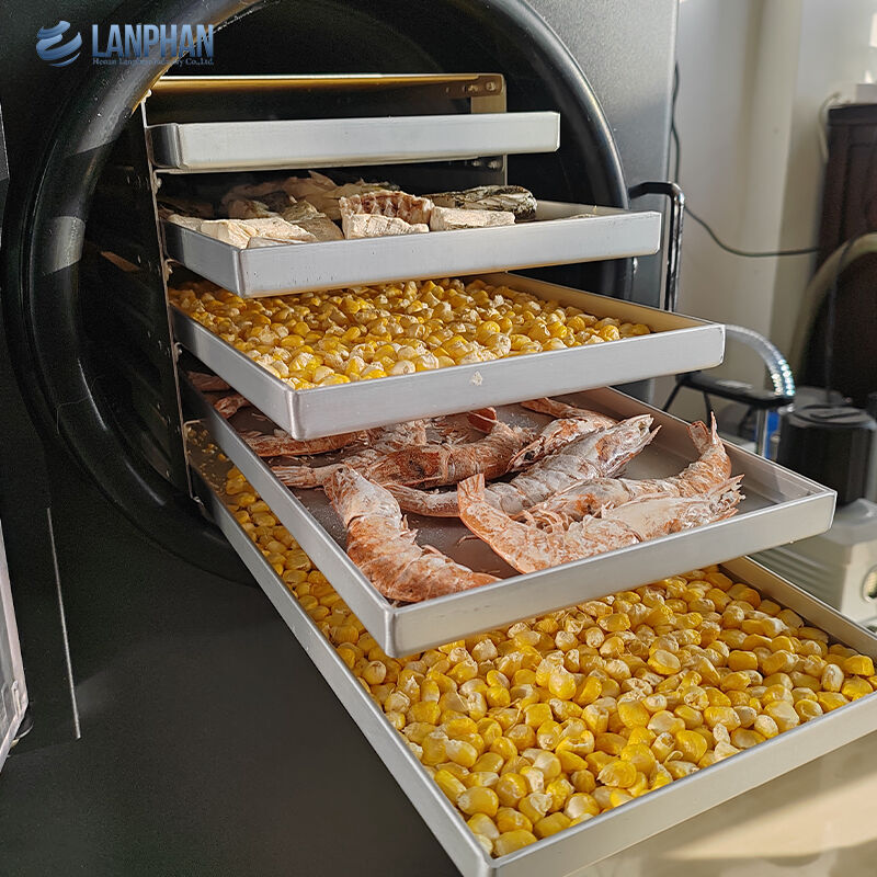 5-트레이 작은 크기의 스테인리스 스틸 냉동 건조기