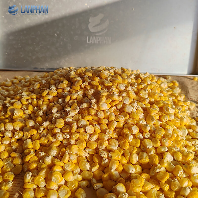 4-6KG 자동 소식품 과일 육류 진공 냉동 건조기 가정용