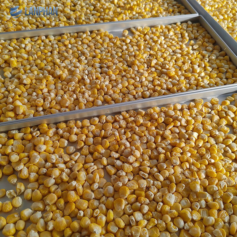 5-트레이 작은 크기의 스테인리스 스틸 냉동 건조기