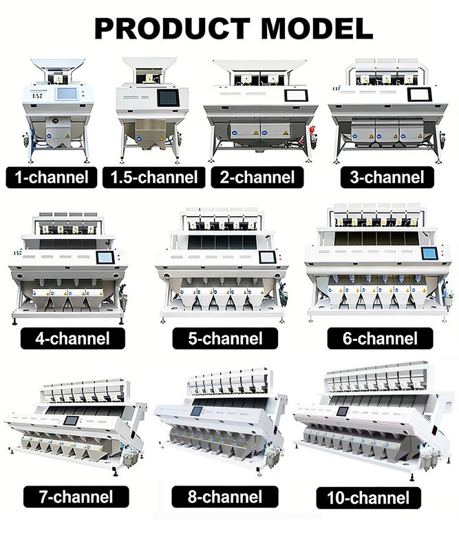 밀웜 분류용 단일 슈트 컬러 소터 쌀 광학 선별기 쌀 선별기