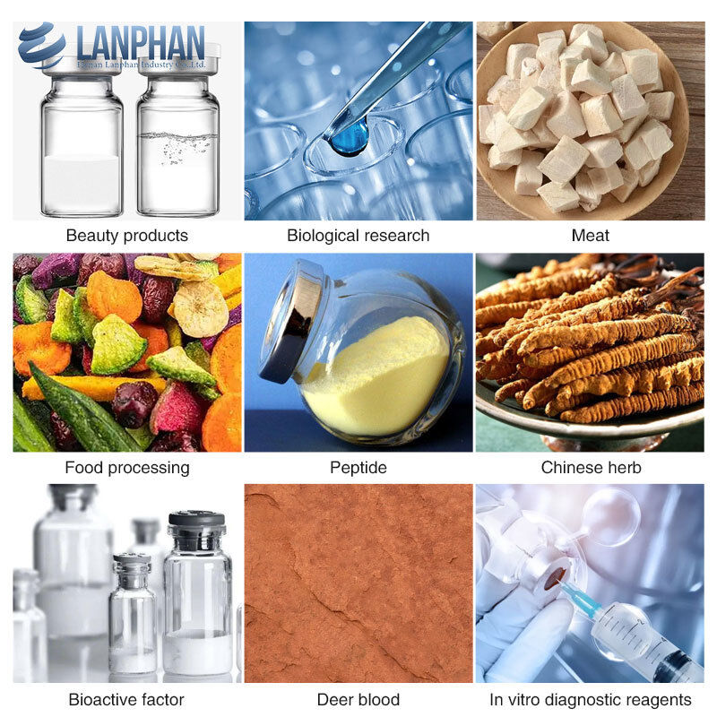 8kg/ Batch lyophilization 산업 실험실 냉동 건조기 의약품, 미생물 제품