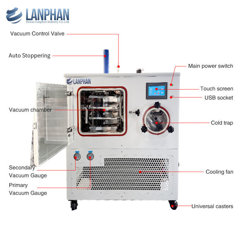 실험실 냉동 건조기 진공 건조기 4kg/배치 용량 및 -75°C 냉각기온