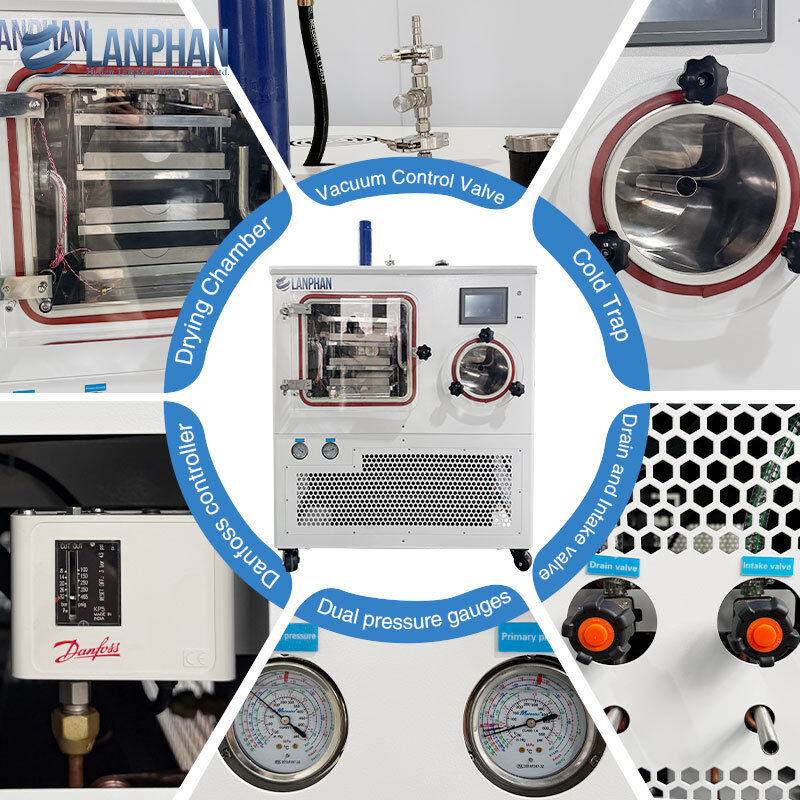 -75°C 맞춤형 실험실 동결 건조기 3 트레이 제약 동결 건조기 (진공 펌프 포함)
