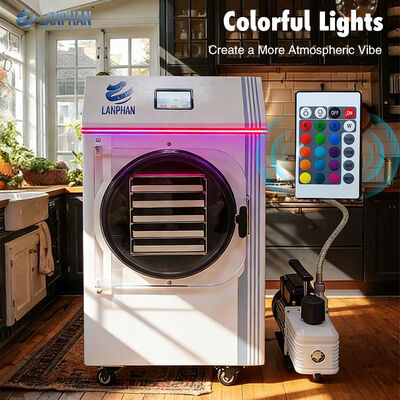 가정용 과일 채소 육류 보존 소형 식품 건조기